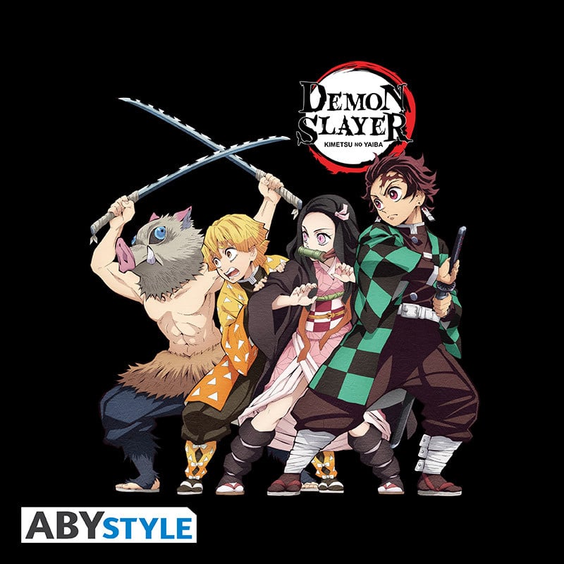 DEMON SLAYER - T-Shirt Group Unisex black (XL)