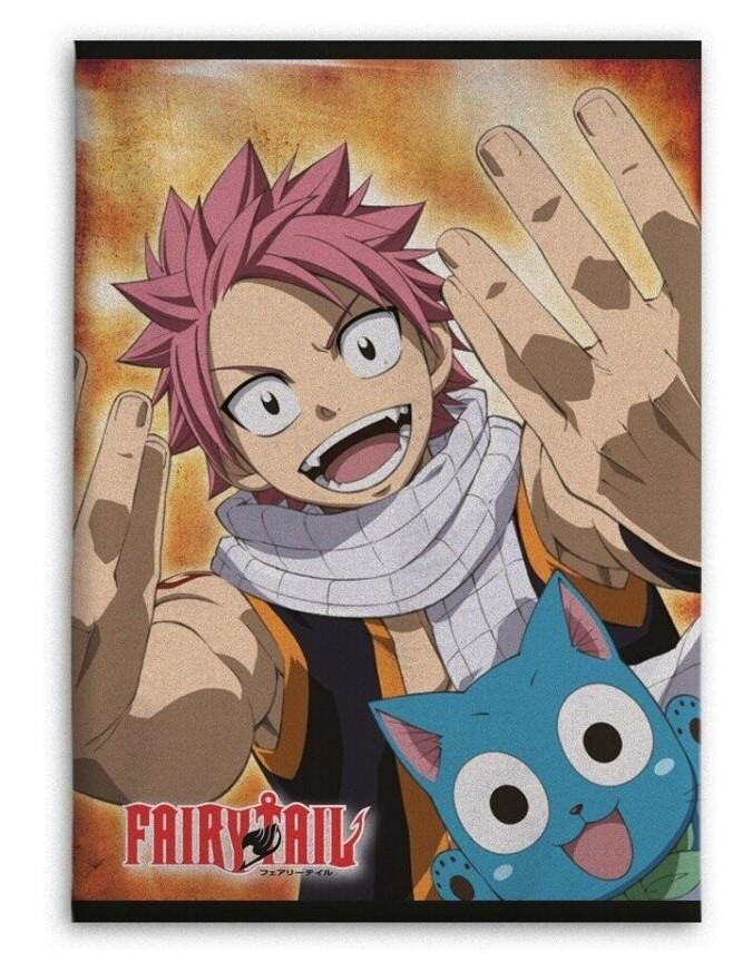 FAIRY TAIL - Natsu & Happy - Polar Fleece 100x140cm