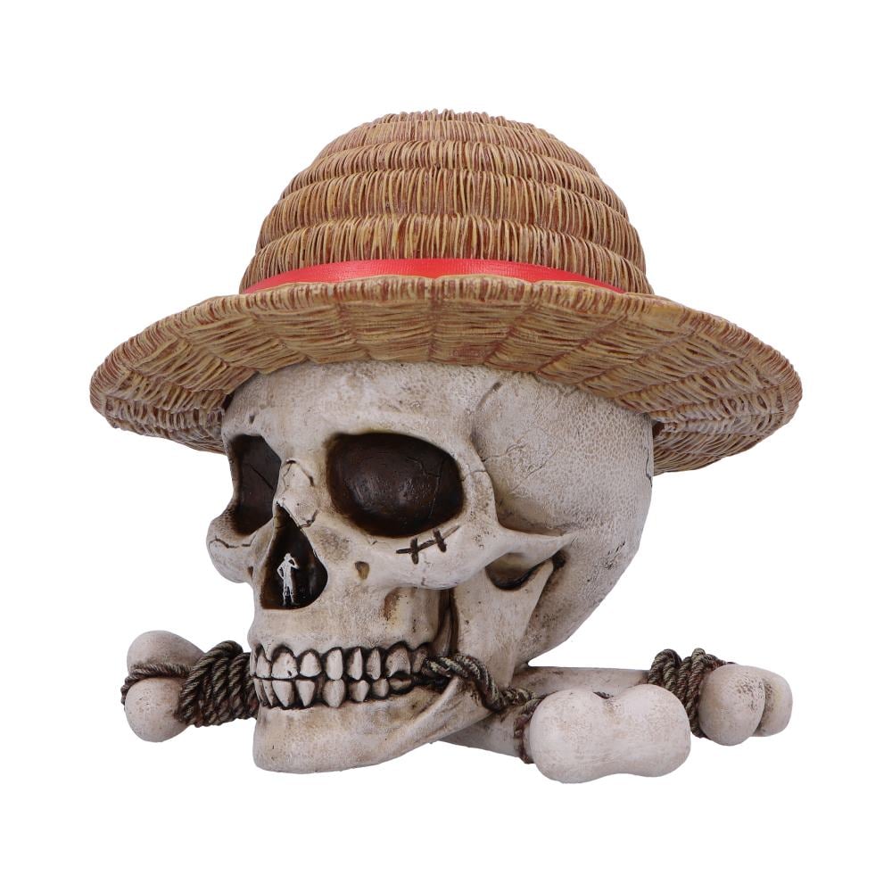 ONE PIECE - Luffy Jolly Roger - Box 17.5cm