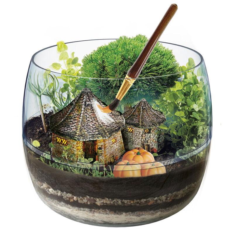 HARRY POTTER - Terrarium