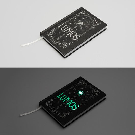 HARRY POTTER - Lomus - Premium Light Notebook + Wand Pen