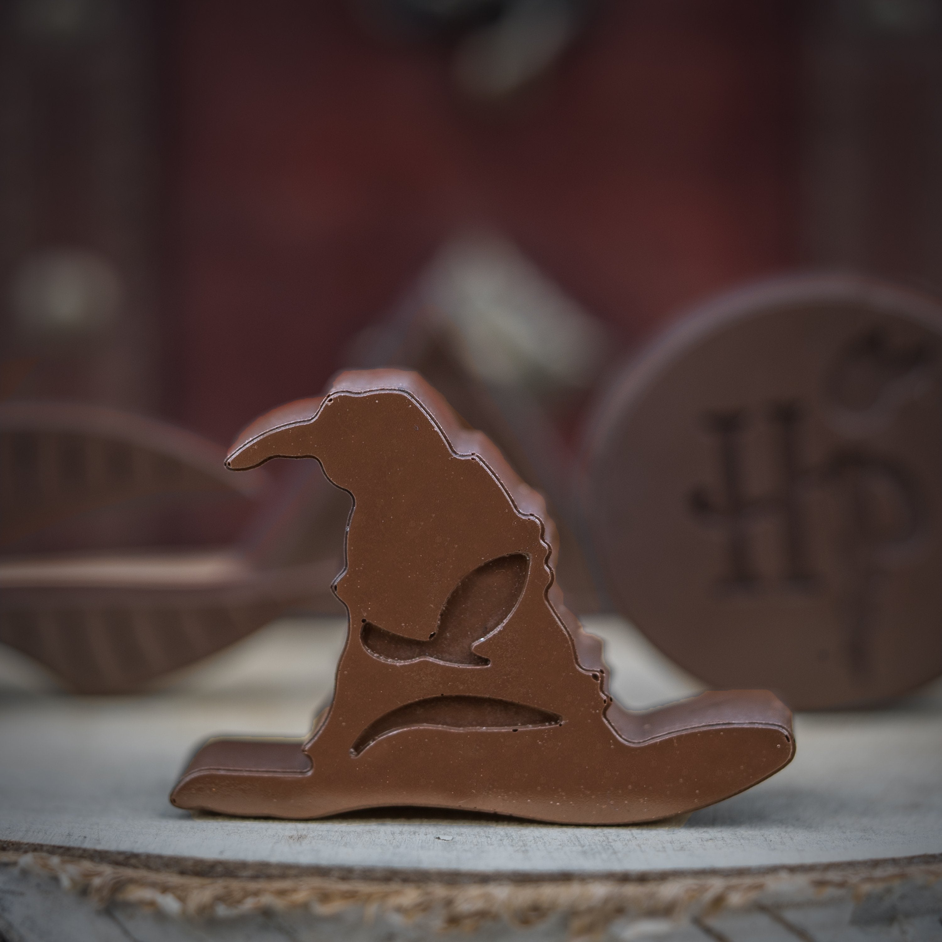 HARRY POTTER - Chocolat and Ice Tray Pack 2 pcs - Logo
