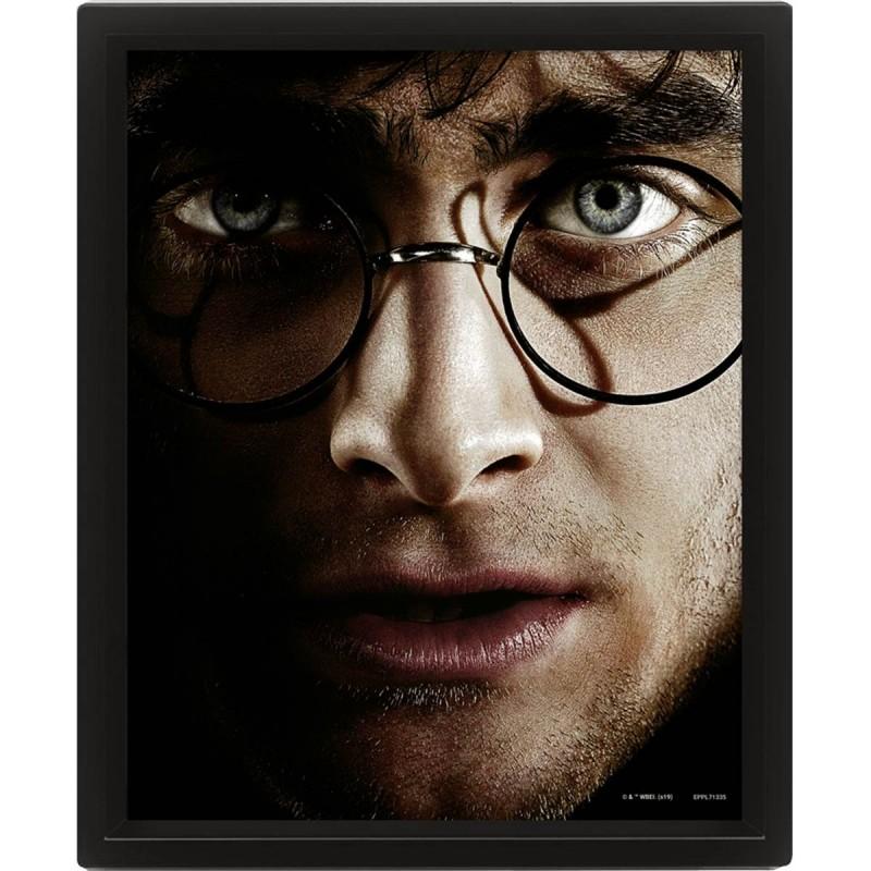 HARRY POTTER - Harry vs Voldemort - 3D Lenticular Poster 26x20cm