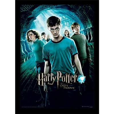 HARRY POTTER - Order of the Phoenix - Collector Print 30x40cm