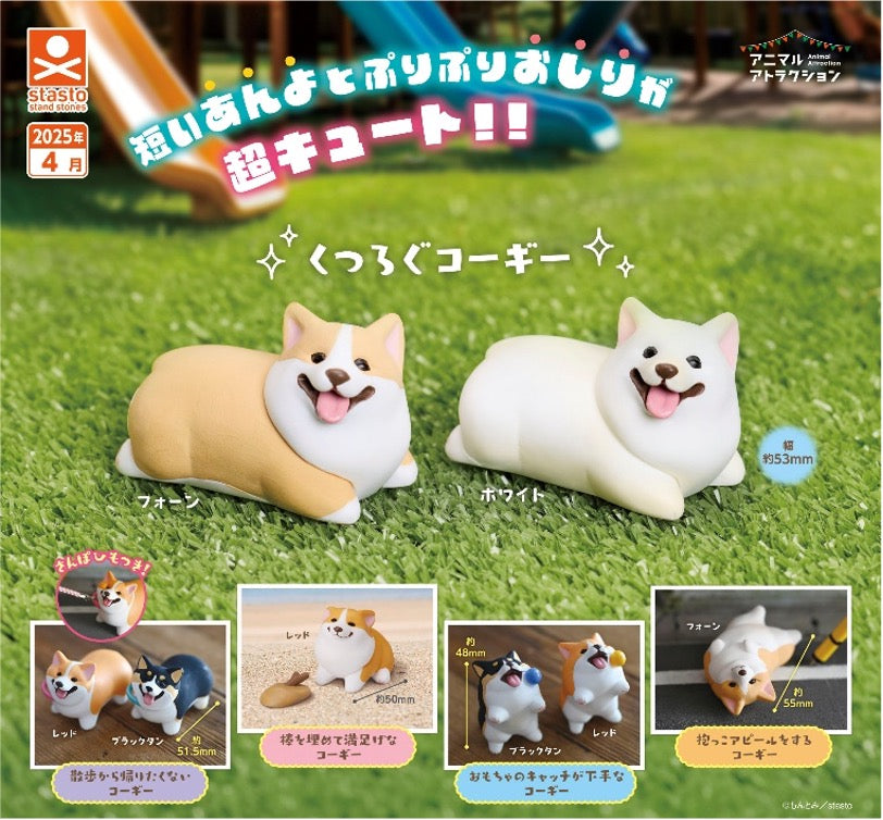 GASHAPON - Corgi (40 Capsule 58mm)