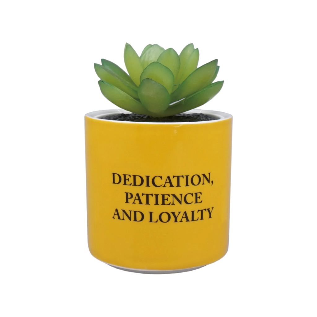 HARRY POTTER - Hufflepuff - Faux Plant Pot 6.5cm