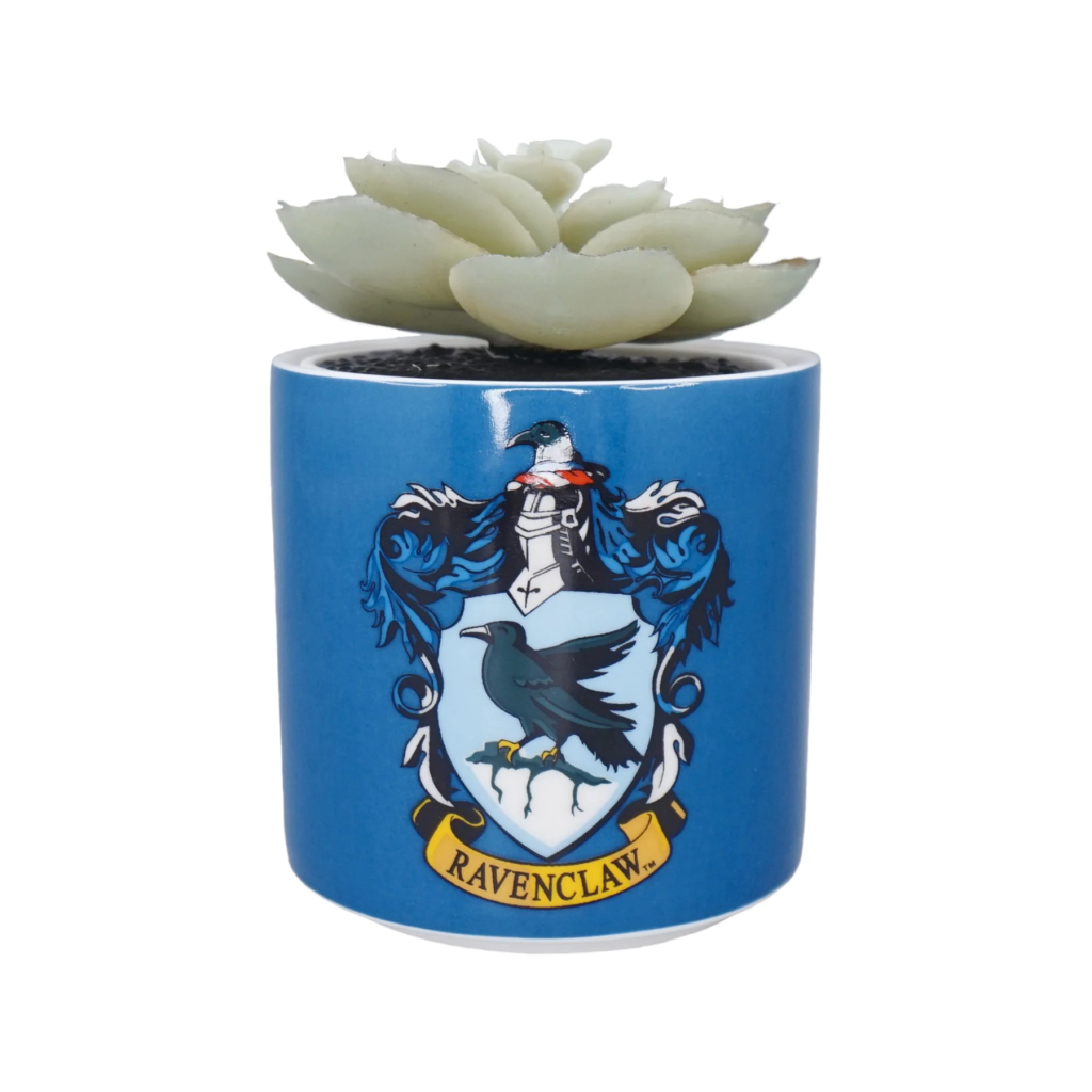 HARRY POTTER - Ravenclaw - Faux Plant Pot 6.5cm