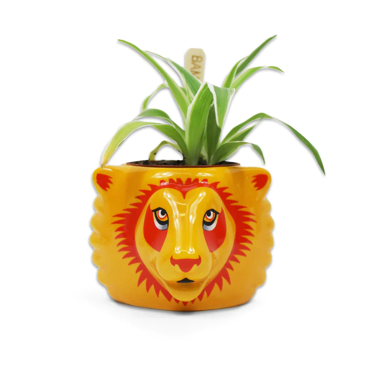 HARRY POTTER - Gryffindor - Plant Pot