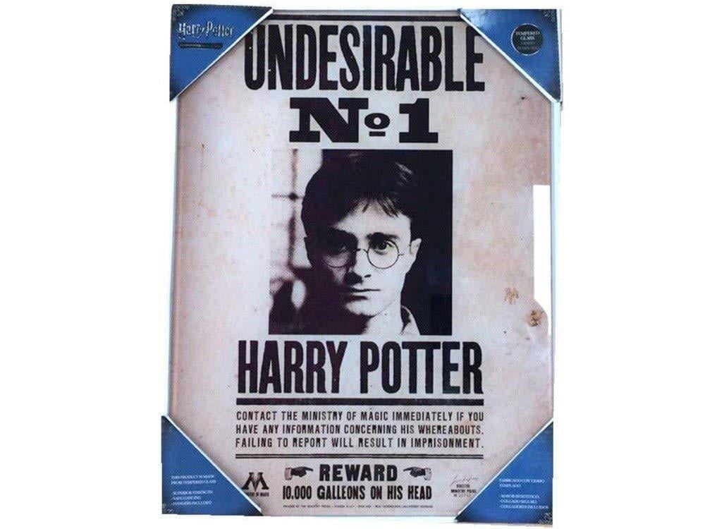 HARRY POTTER - Impression en Verre - Undesirable N°1 - 30X40 Cm