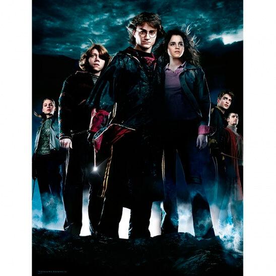 HARRY POTTER - GLASS PRINT - Group HP4 - 30X40 Cm