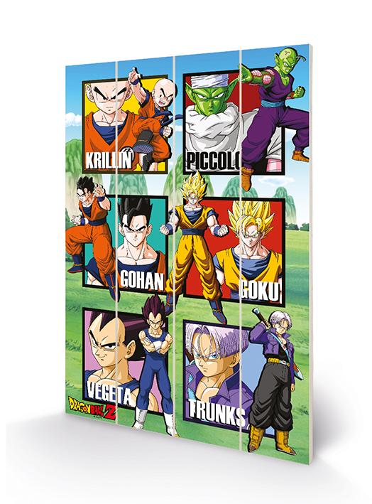 DRAGON BALL Z - Warrior Squares - Wood Print 40x59cm