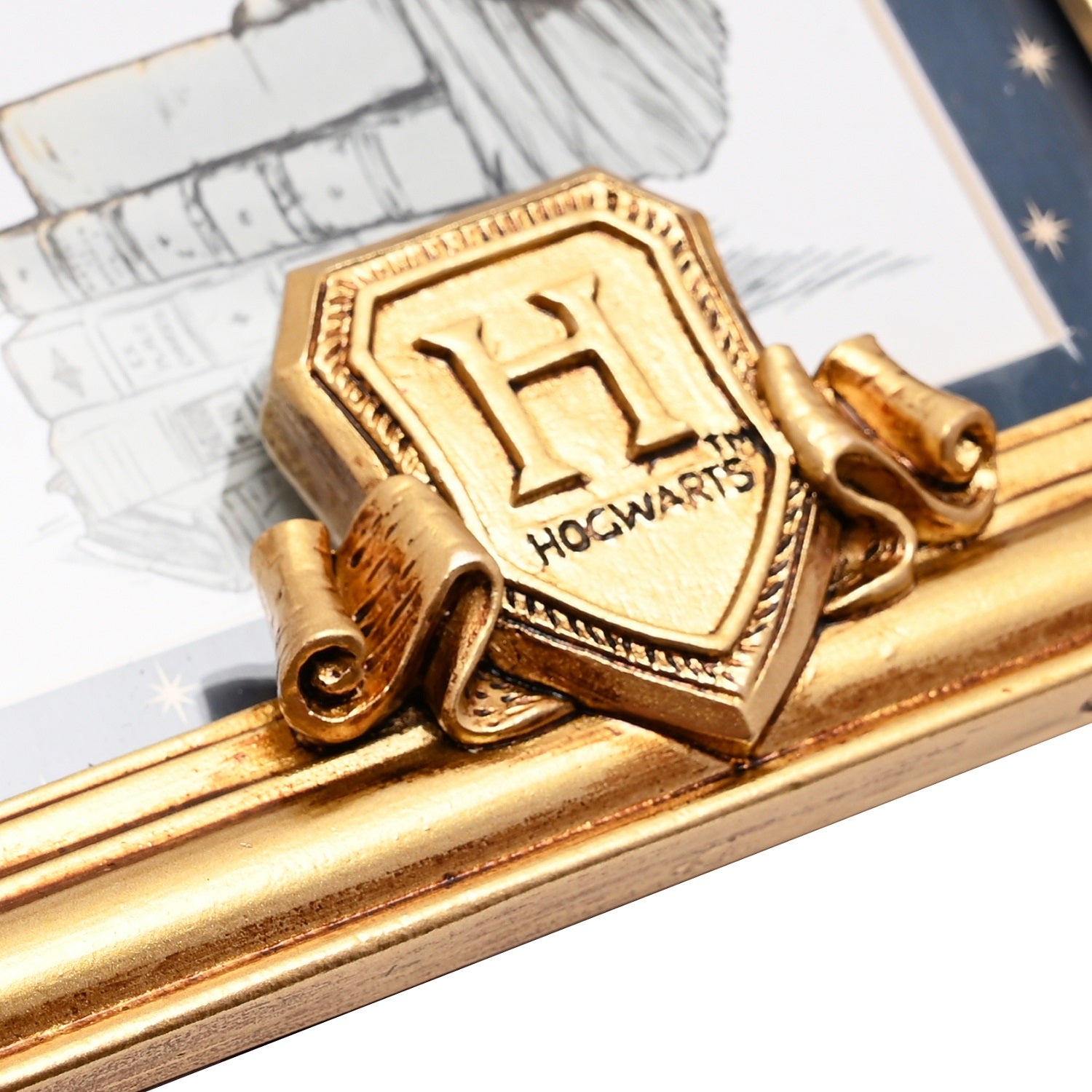 HARRY POTTER - Hedwig - 3D Photo Frame