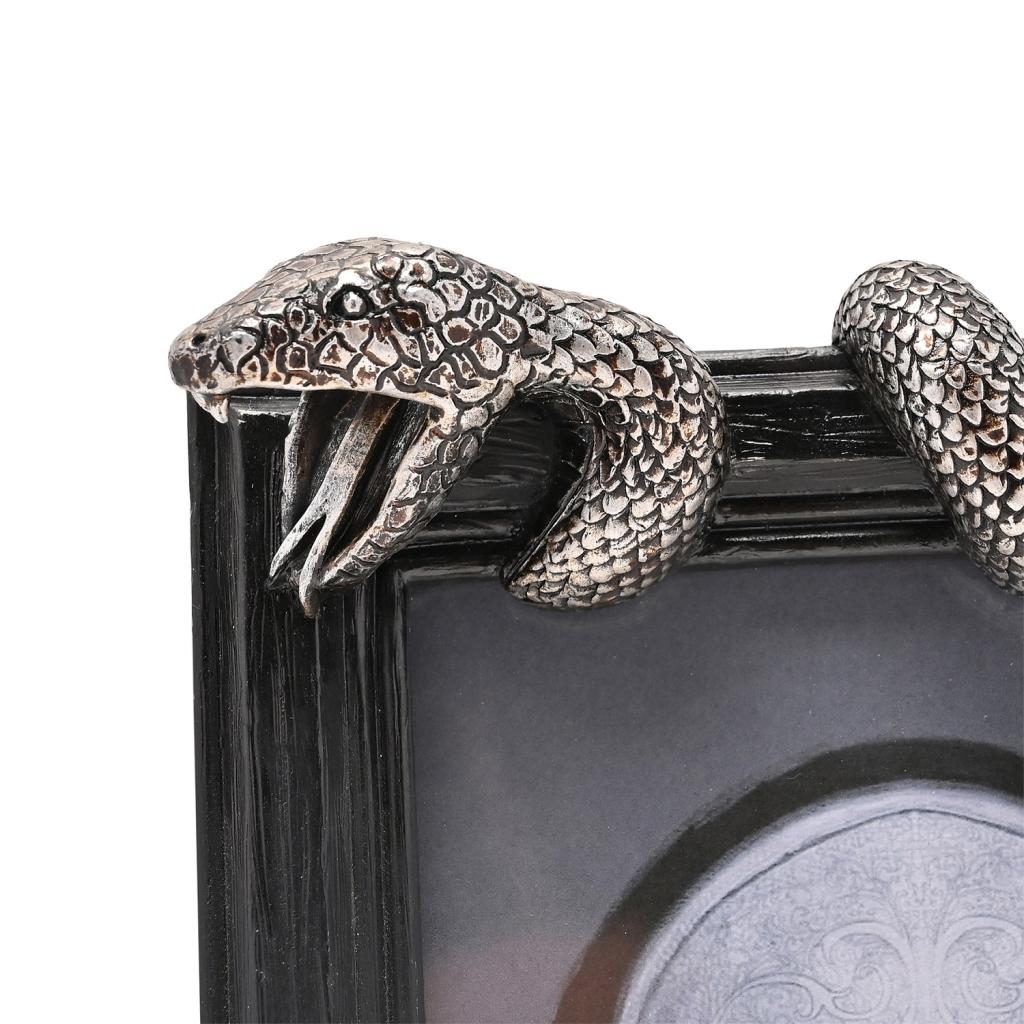 HARRY POTTER - Nagini - 3D Photo Frame