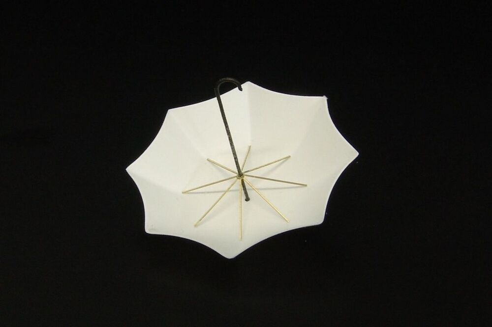 Umbrella (2pcs)