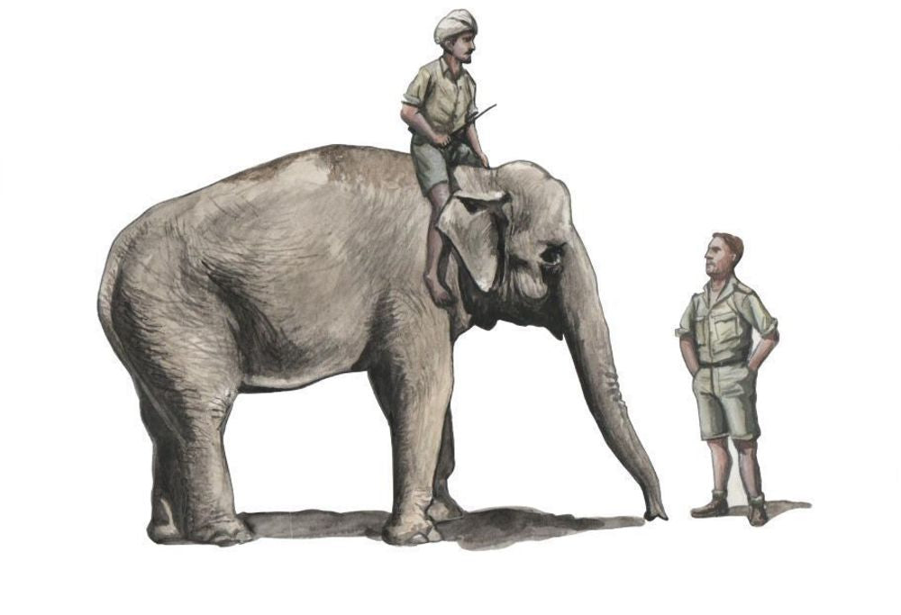 WWII RAF Mechanic in India+Elephant with Mahout (2 Fig. + Elephant)