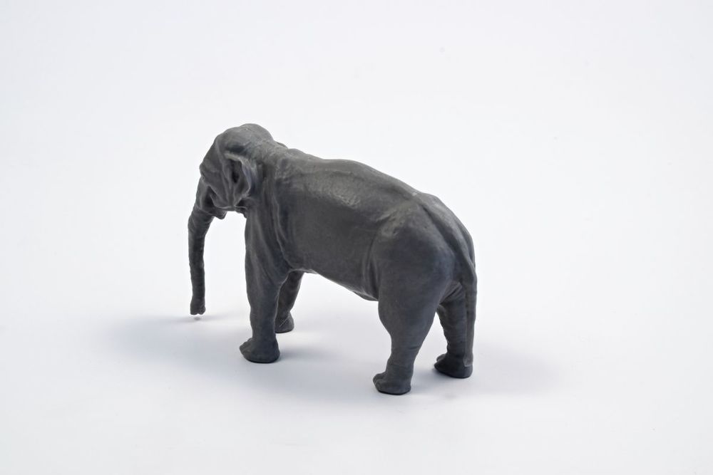 Asian Elephant (1 figure)