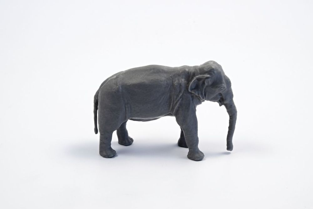 Asian Elephant (1 figure)