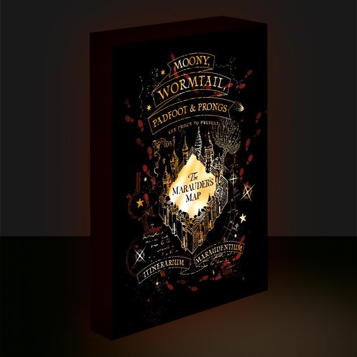 HARRY POTTER - Marauders Map - Light Canvas 40X30 Cm