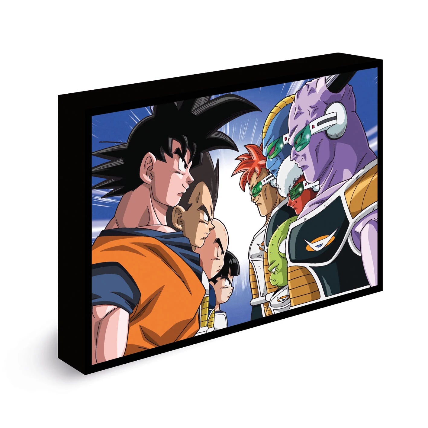 DRAGON BALL Z - Face Off - Light Canvas 40X30 Cm
