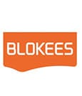 Transformers Blokees Plastic Model Kit Classic Class 15 B-127