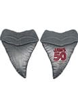 Jaws Medallion 50th Anniversary Shark Tooth