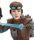 Star Wars Bust 1/6 Starkiller Hero (Concept) Premier Guild Exclusive 15 cm