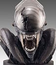 Alien Romulus Bust 1/1 Xenomorph 53 cm