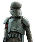 Star Wars The Mandalorian Action Figure 1/6 Transport Trooper 31 cm