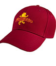 Harry Potter Curved Bill Cap Gryffindor