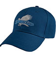 Harry Potter Curved Bill Cap Ravenclaw