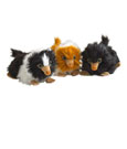 Fantastic Beasts 2 Plush Figures Baby Nifflers 15 cm Display (9)
