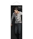 Attack on Titan Slim Wallscroll Eren Jaeger 30 x 90 cm