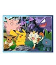 Pokémon Children's Jigsaw Puzzle XXL Gotta catch em all (300 pieces)