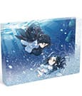 Grandmaster of Demonic Cultivation Acryl Block with Glitter Wei Wuxian & Lan Wangji Zhao Xi Chi Ver. 14 x 10 cm