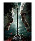 Harry Potter Jigsaw Puzzle Harry vs Voldemort