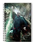 Harry Potter Notebook with 3D-Effect Voldemort Poster