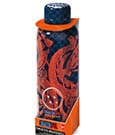Dragon Ball Water Bottle Shenlong