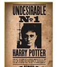 Harry Potter Puzzle Wanted No1 Harry Potter (50 pieces)