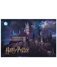 Harry Potter Puzzle Hogwarts (50 pieces)