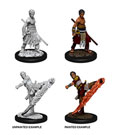D&D Nolzur's Marvelous Miniatures Unpainted Miniatures Male Half-Elf Monk Case (6)