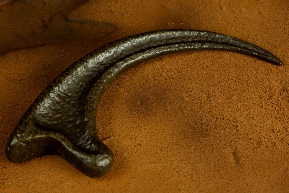 Jurassic Park Replik 1:1 Raptor-Klaue