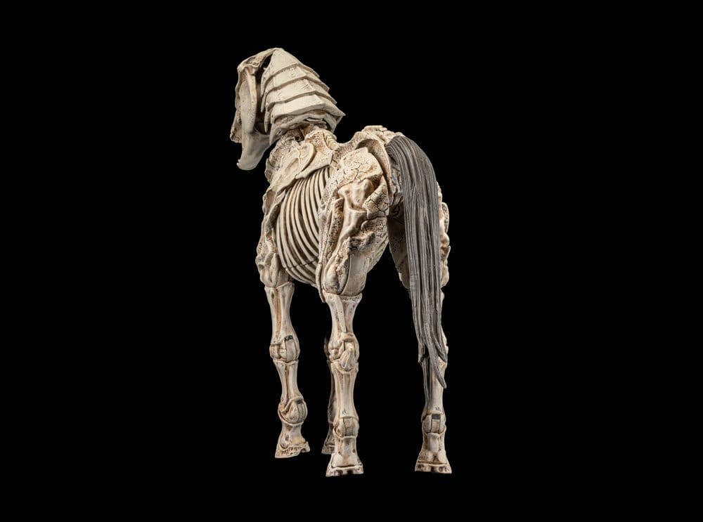 Mythic Legions: Reinforcement 3 Action Figure Skeleton Steed Legion Builder