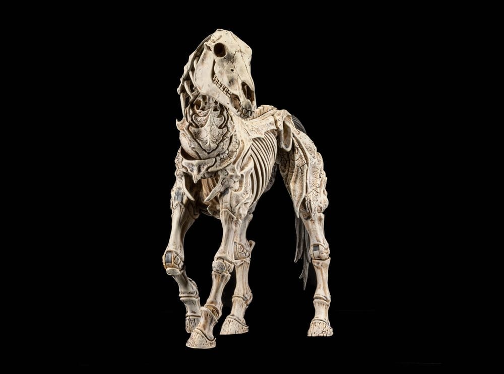 Mythic Legions: Reinforcement 3 Action Figure Skeleton Steed Legion Builder
