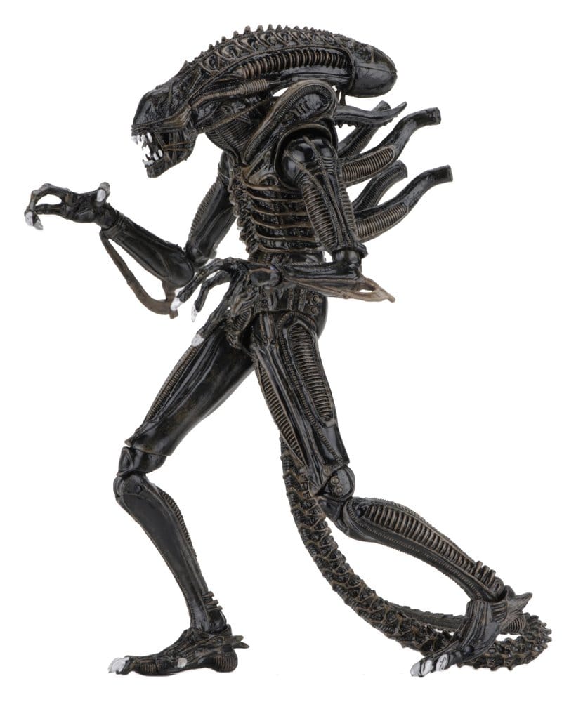 Aliens Ultimate Action Figure Warrior (1986) Brown 23 cm