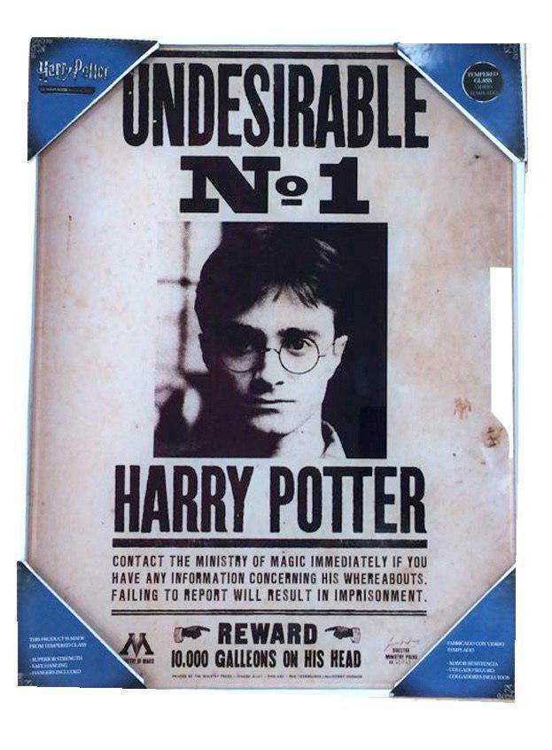 Harry Potter Glass Poster Undesirable No. 1 30 x 40 cm