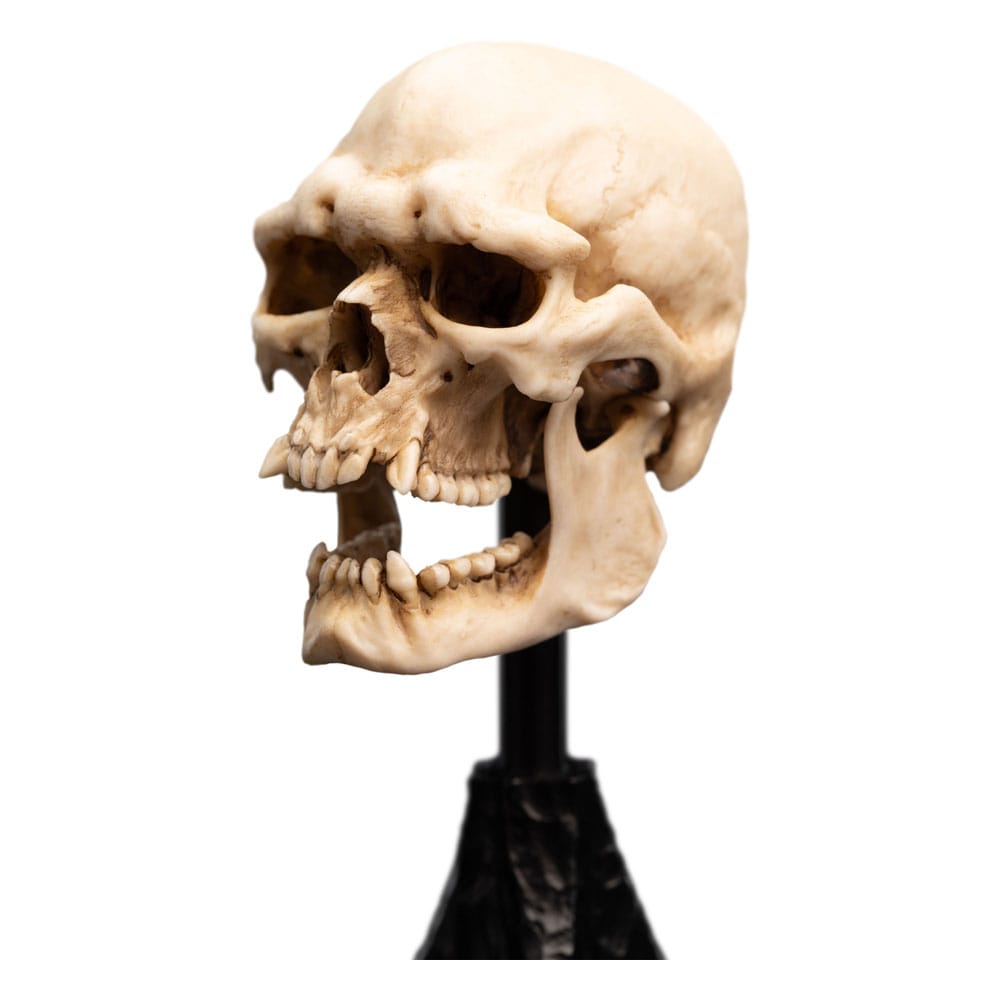 Lord of the Rings Mini Statue Skull of a Mordor Orc 14 cm