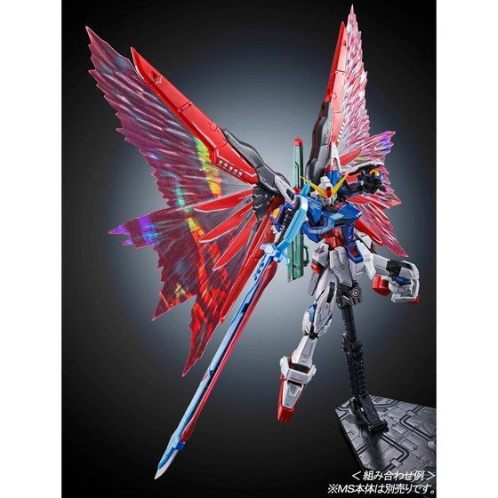 *Preorder* RG Destiny Gundam Wings of Light Effect Unit - P-Bandai 1/144 - Udgives slut juni - Modtages juli - gundam-store.dk