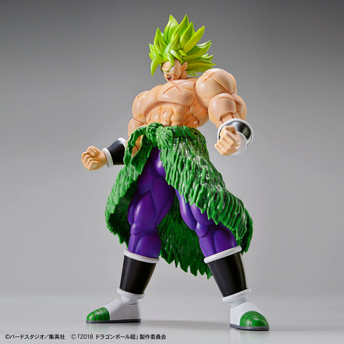 Dragon Ball Z - Super Saiyan Broly Full Power