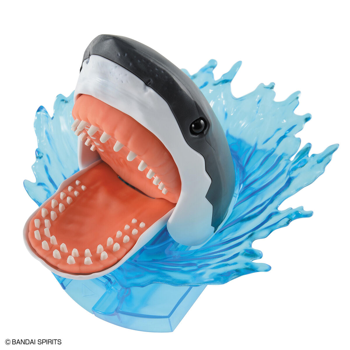 Exploring Lab Great White Shark