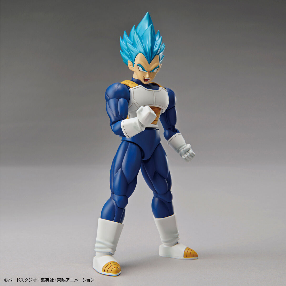 Dragon Ball Super - Super Saiyan God Super Saiyan Vegeta